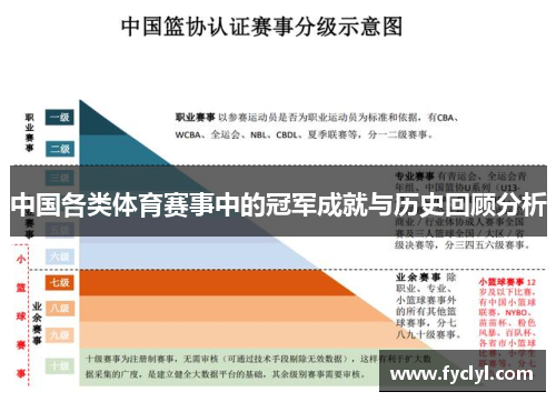 中国各类体育赛事中的冠军成就与历史回顾分析