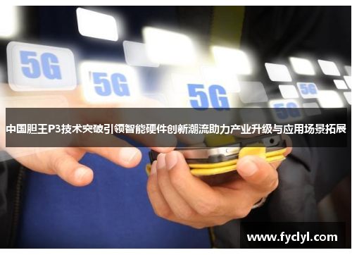 中国胆王P3技术突破引领智能硬件创新潮流助力产业升级与应用场景拓展