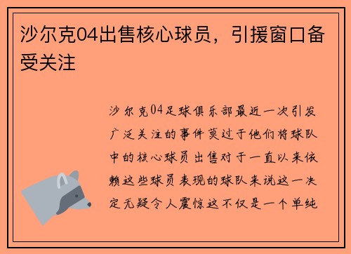 沙尔克04出售核心球员，引援窗口备受关注